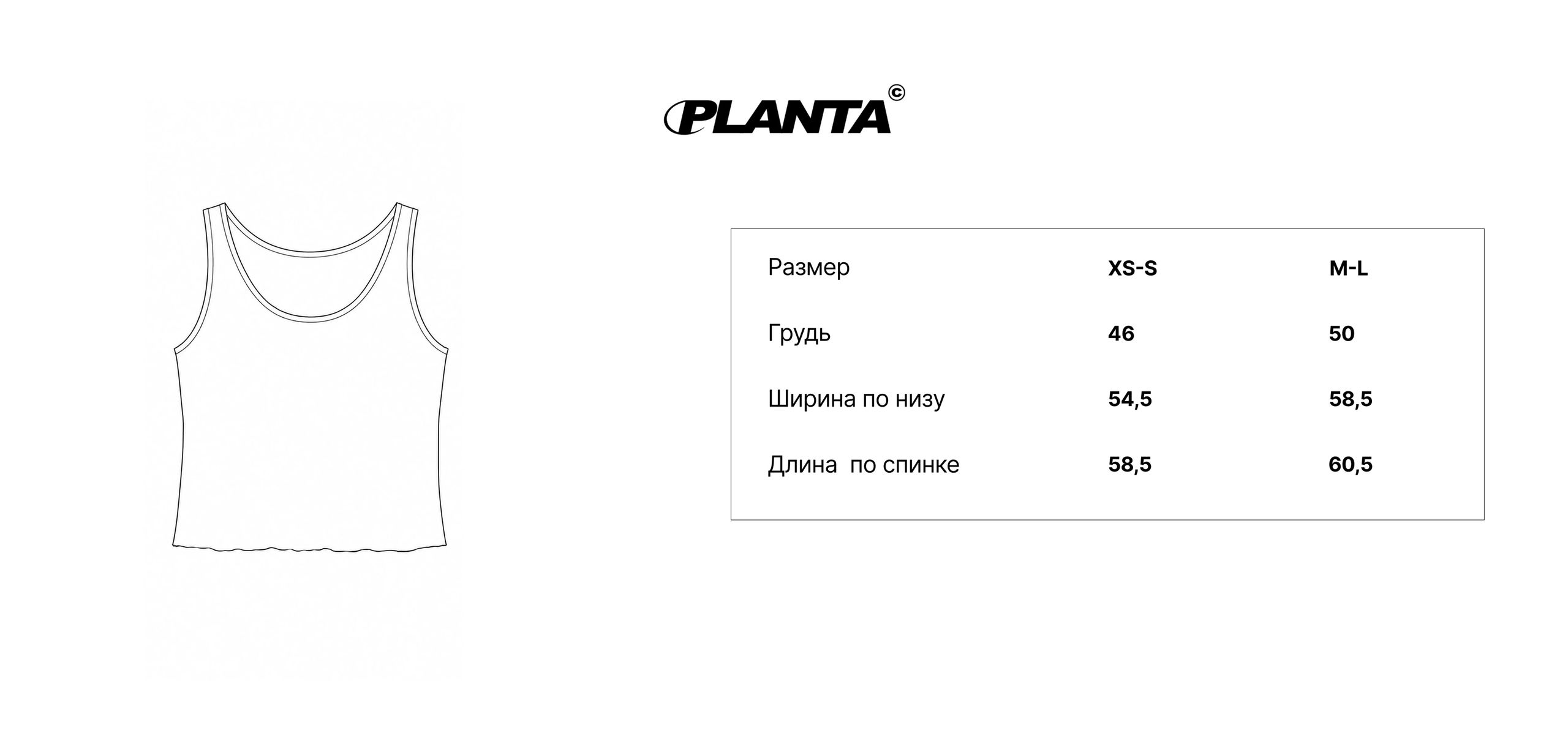 Размерная сетка