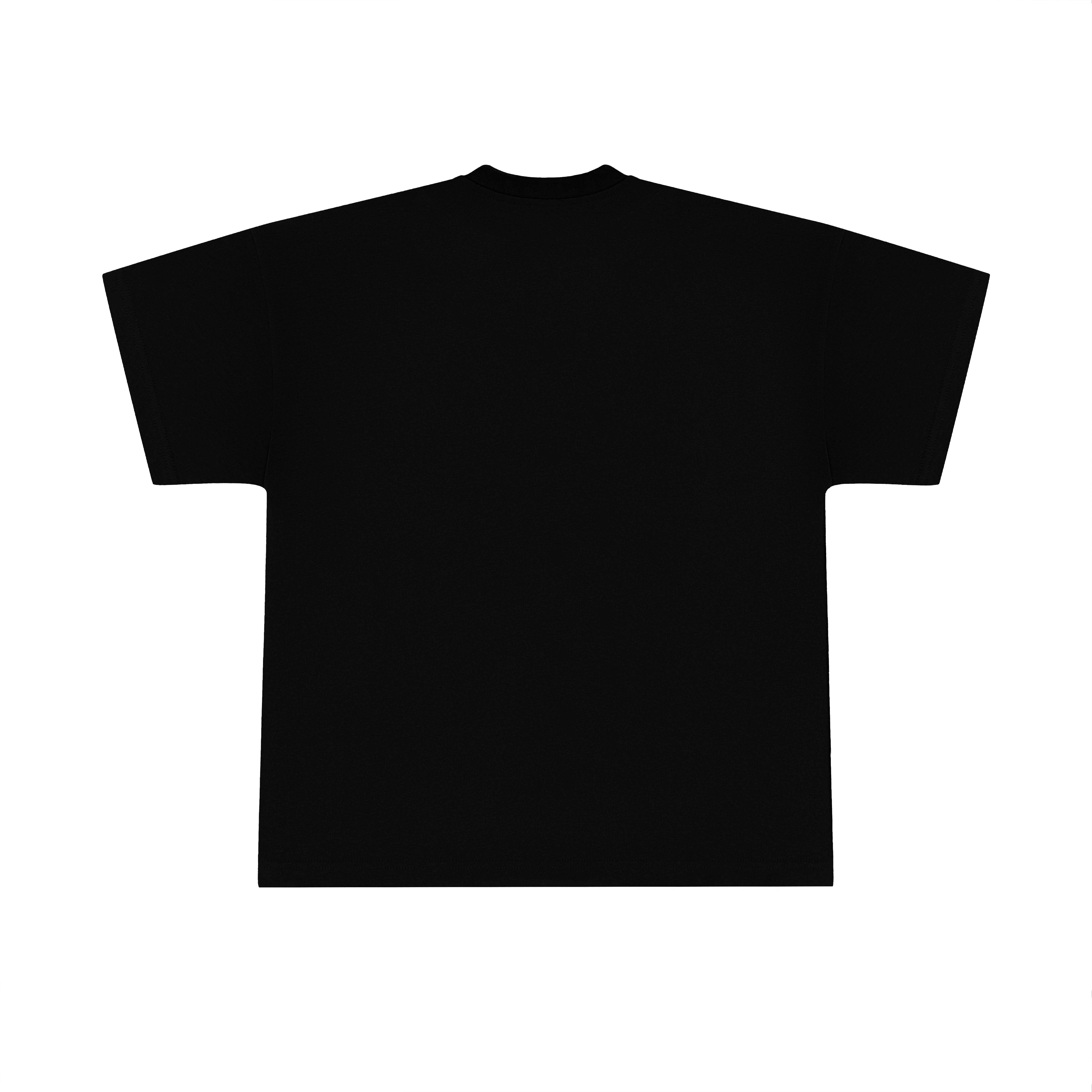 ASPIRING-CLASSIC T-SHIRT
