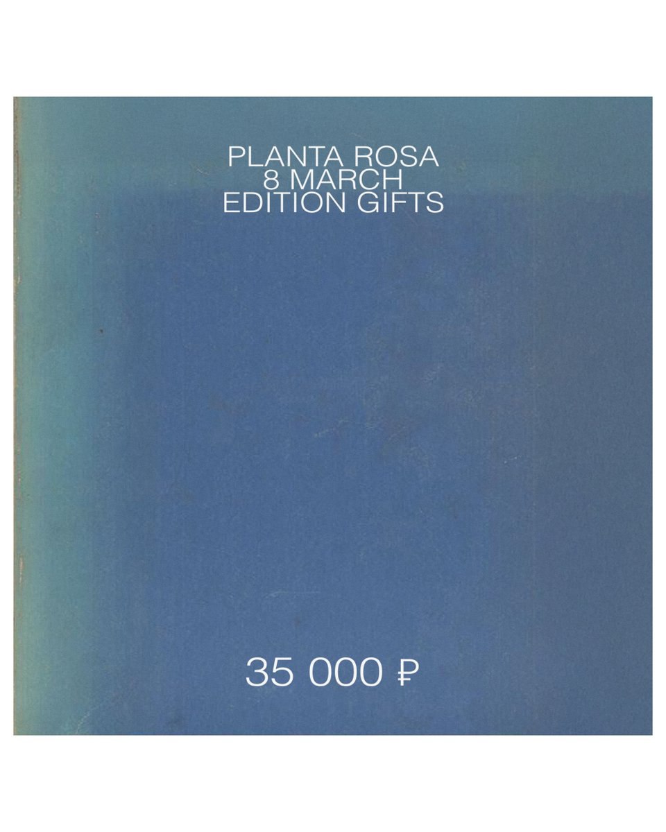 PLANTA GIFT (35000)