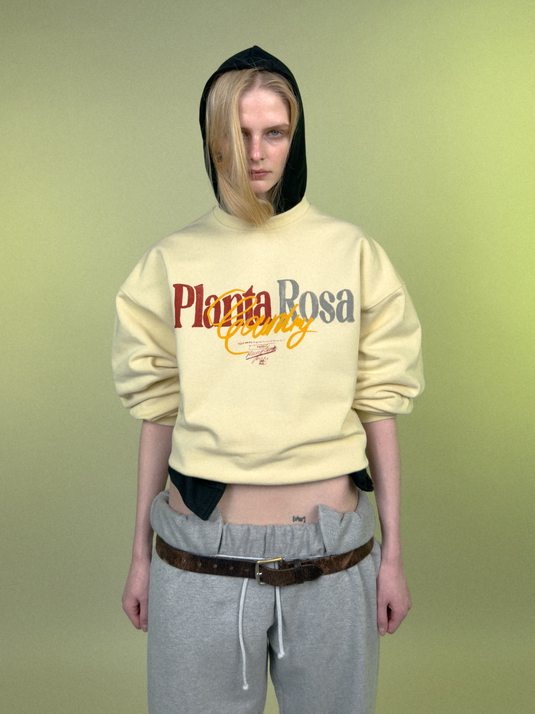 RENAISSANCE SWEATSHIRT