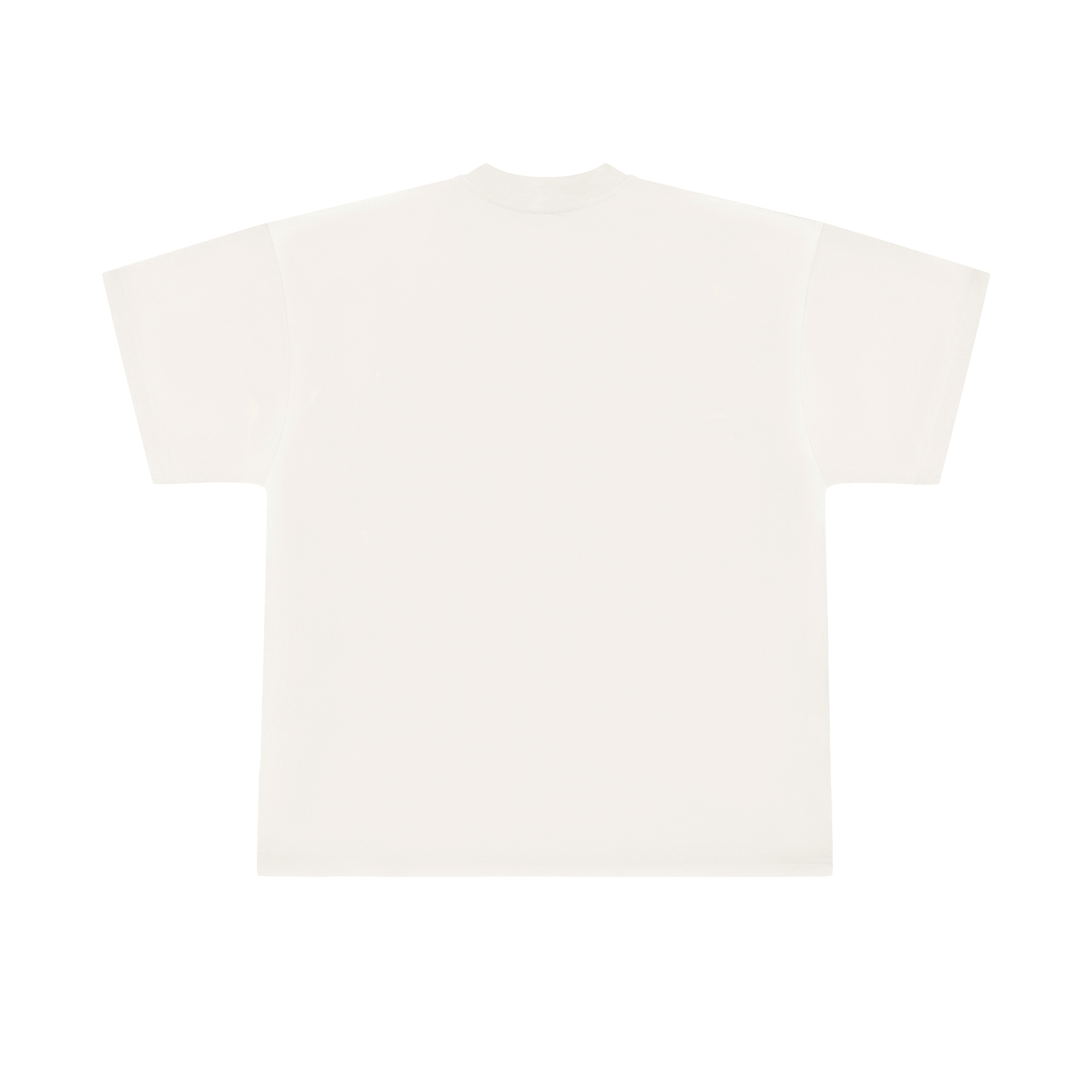 RACE-EQUILIBRIUM T-SHIRT