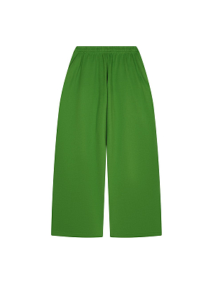 PANTS 400 LIME VELVET