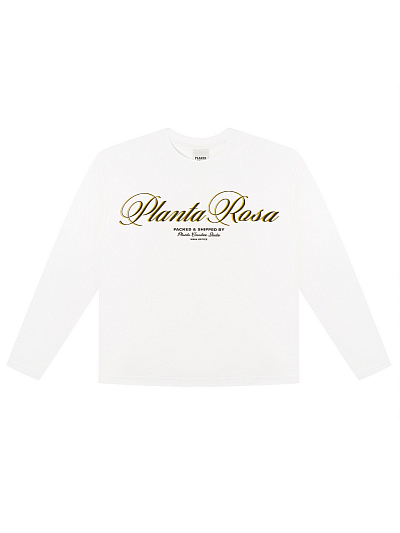 ITALIC-YELLOW LONG SLEEVE