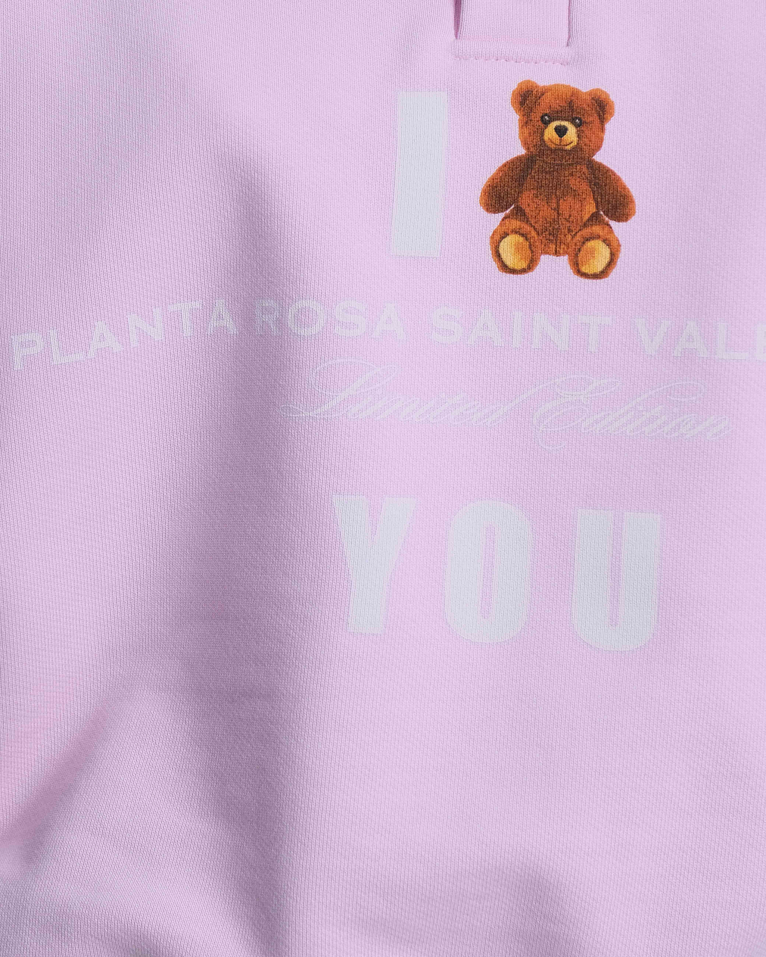 BEAR SWEATSHIRT