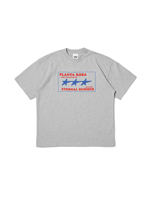 ETERNAL-SUMMER T-SHIRT 220-GREY VELVET