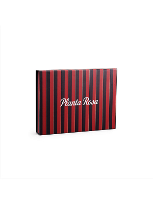 GIFT BOX - MIDDLE