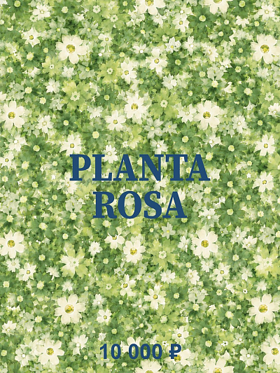 PLANTA GIFT