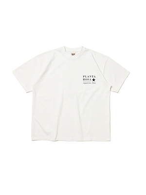 STAR-SIGNATURE T-SHIRT 220-VANILLA VELVET