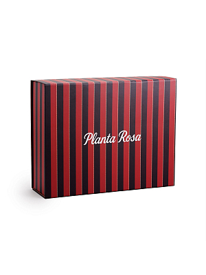 GIFT BOX - BIG 