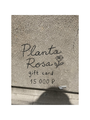 PLANTA GIFT (15000)