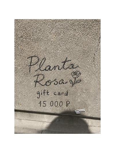 PLANTA GIFT