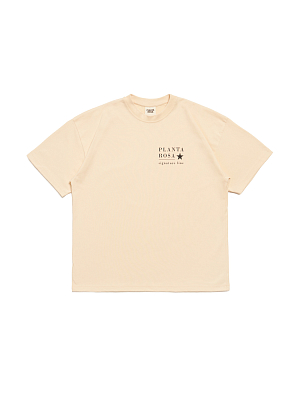 STAR-SIGNATURE T-SHIRT 250-SHORTBREAD VELVET
